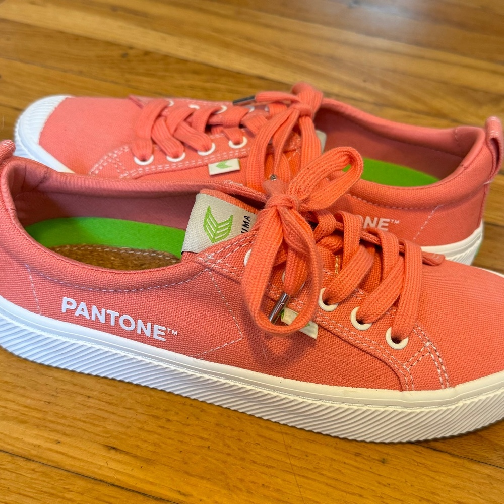 Cariama size 8 canvas sneakers